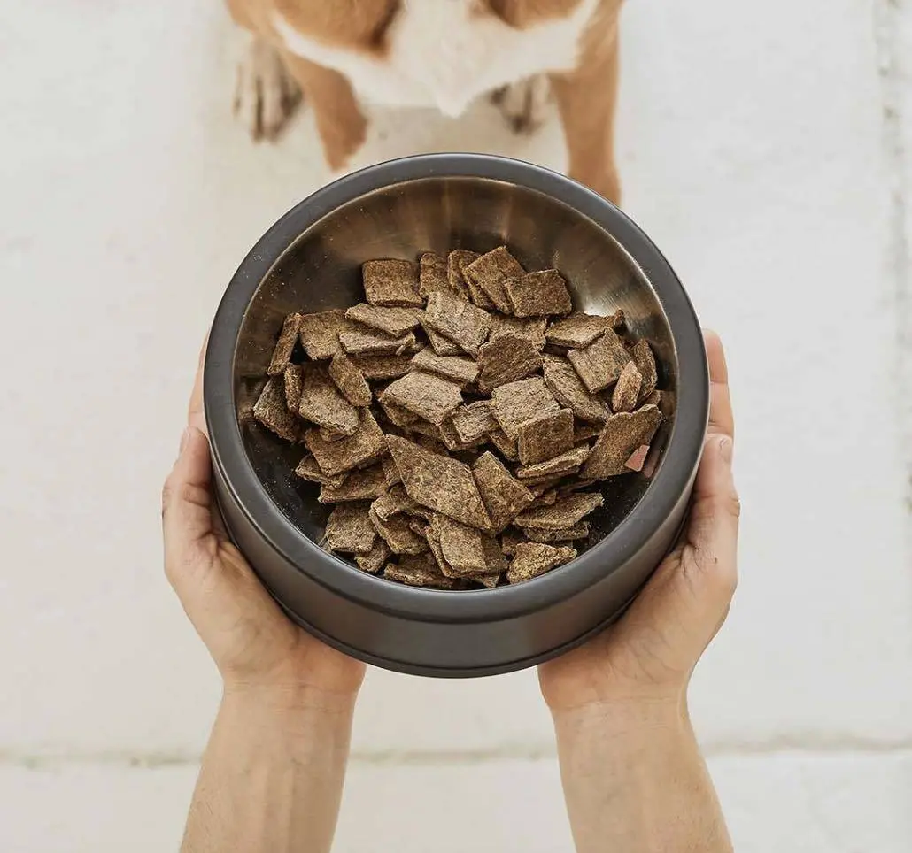 Hands holding out a bowl of square freeze-dried dog food
